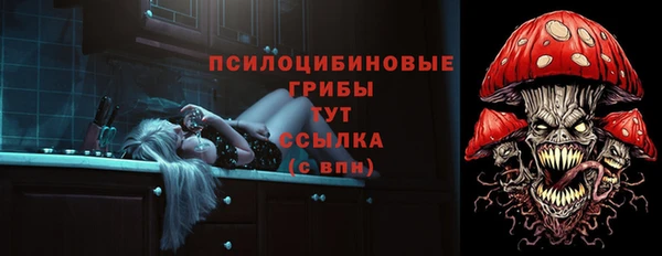 2c-b Лабытнанги