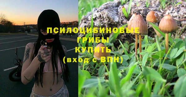 СК Лагань