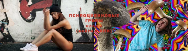 таблы Ладушкин